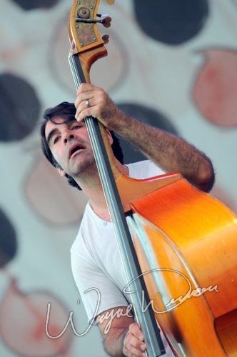 The Avett Brothers live concert photo by Wayne Dennon