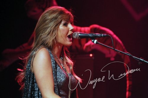 Grace Potter and the Nocturnals by Wayne Dennon