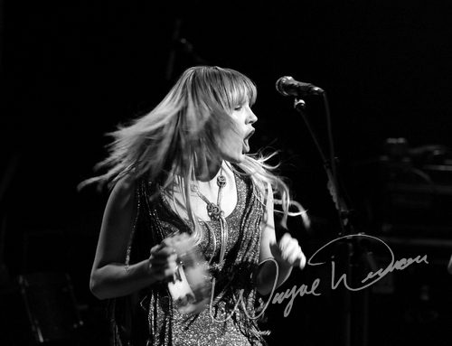 Grace Potter and the Nocturnals by Wayne Dennon