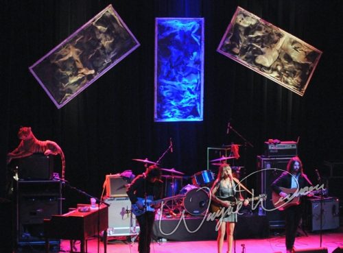 Grace Potter and the Nocturnals live concert photo by Wayne Dennon