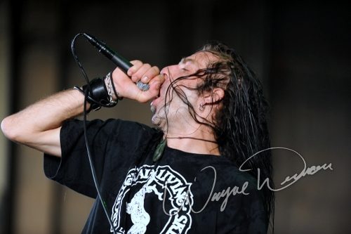Lamb Of God live concert photo by Wayne Dennon