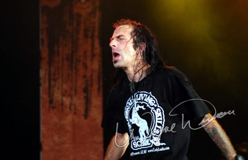Lamb Of God live concert photo by Wayne Dennon