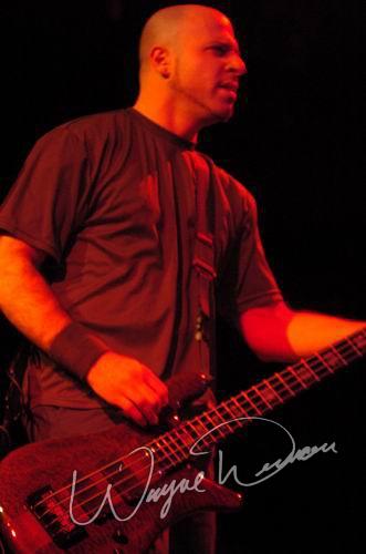 Life Of Agony by Wayne Dennon