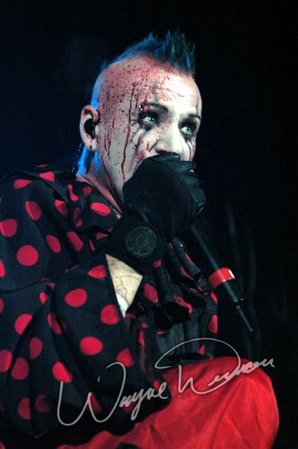 Mudvayne concert photo by Wayne Dennon