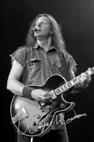 Ted Nugent by Wayne Dennon