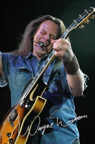Ted Nugent by Wayne Dennon