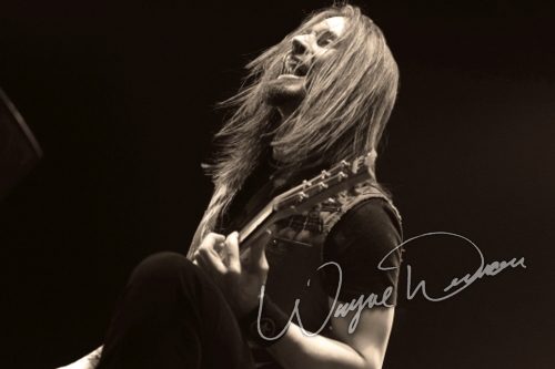 Papa Roach concert photo by Wayne Dennon