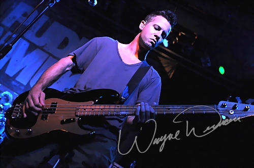 Puddle Of Mudd by Wayne Dennon