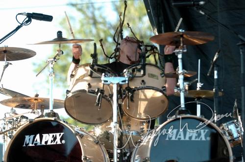 Saliva by Wayne Dennon