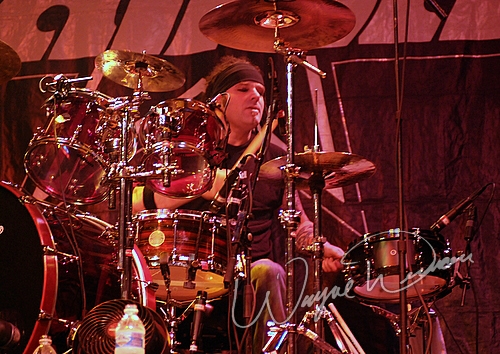 Saliva by Wayne Dennon