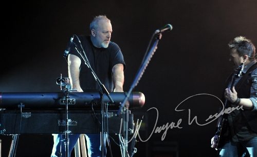 Joe Satriani live concert photo by Wayne Dennon