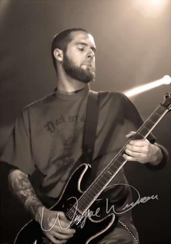 Seether by Wayne Dennon