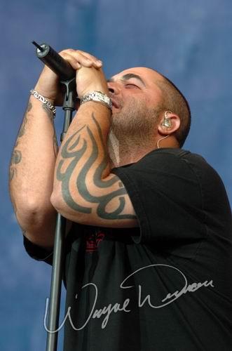 Staind by Wayne Dennon