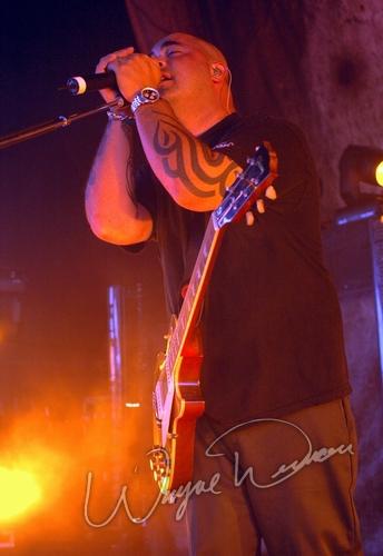 Staind by Wayne Dennon