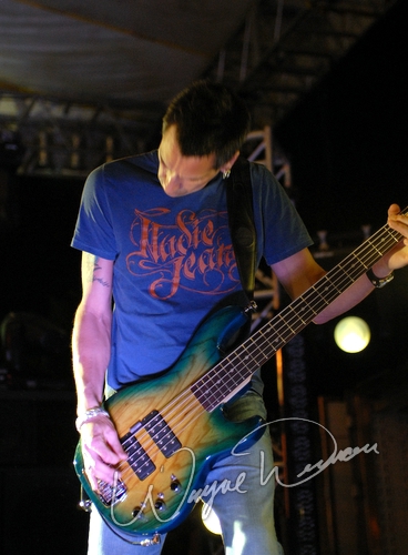 Staind by Wayne Dennon