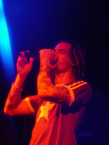 Stereomud by Wayne Dennon