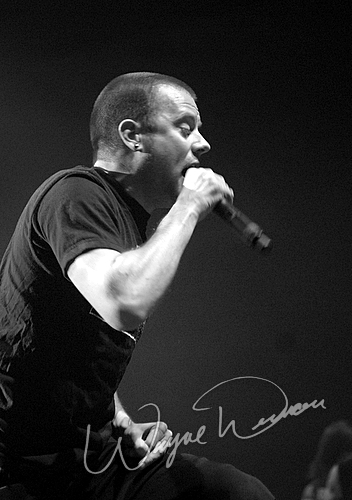 Story Of The Year by Wayne Dennon