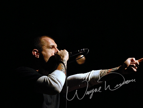 Throwdown by Wayne Dennon