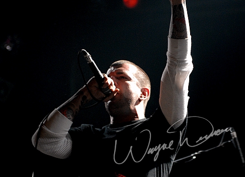 Throwdown by Wayne Dennon