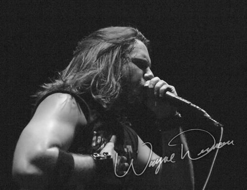 Unearth by Wayne Dennon