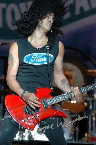 Velvet Revolver by Wayne Dennon