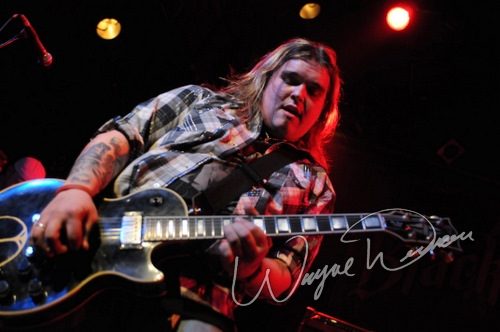 Black Stone Cherry by Wayne Dennon