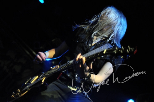 Black Stone Cherry by Wayne Dennon