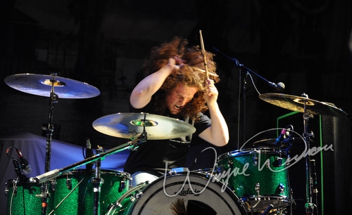 Black Stone Cherry by Wayne Dennon