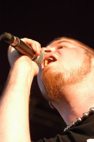 Bobaflex live concert photo by Wayne Dennon