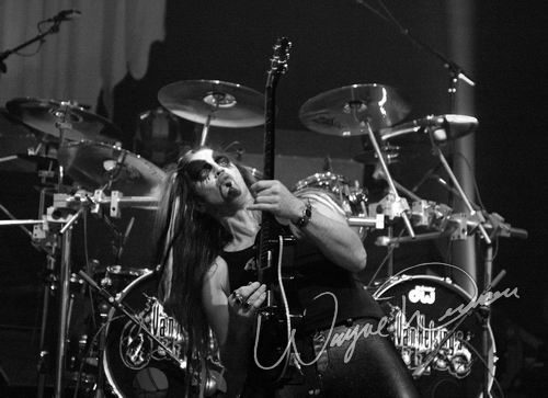 Van Helsing's Curse concert photo by Wayne Dennon