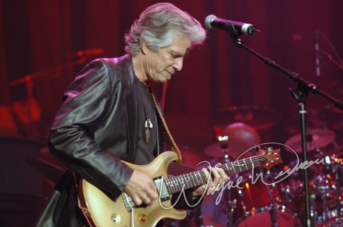 Stephen Bruton by Wayne Dennon