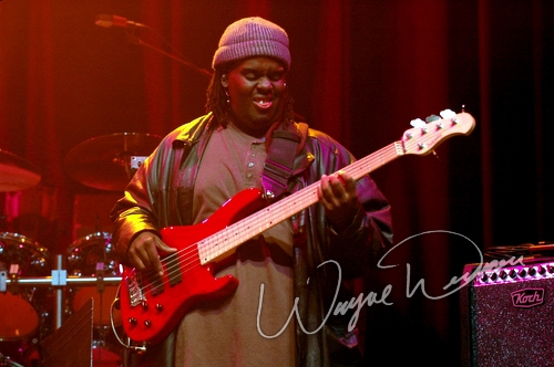 Stephen Bruton by Wayne Dennon