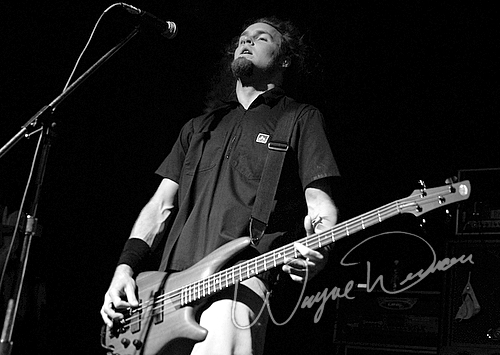 Revelation Theory by Wayne Dennon