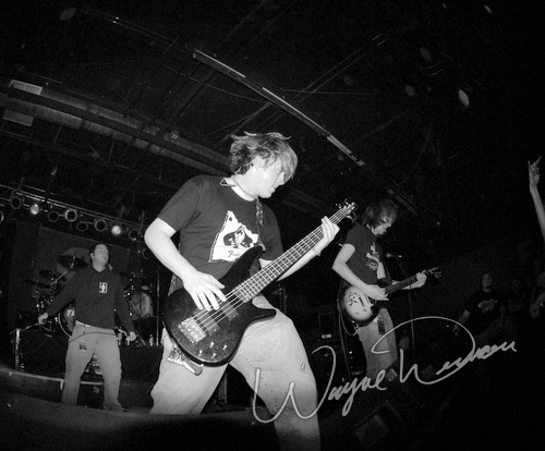 Faktion by Wayne Dennon