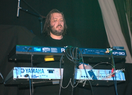 Dark Tranquillity by Wayne Dennon