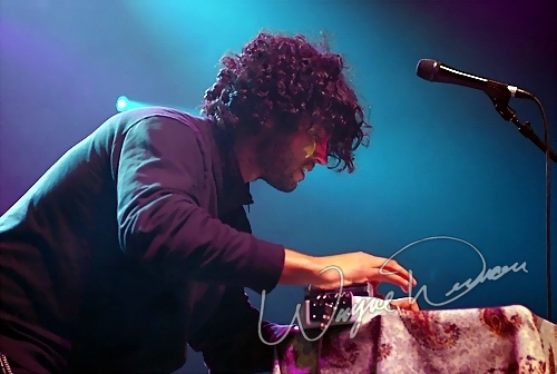 Dredg by Wayne Dennon