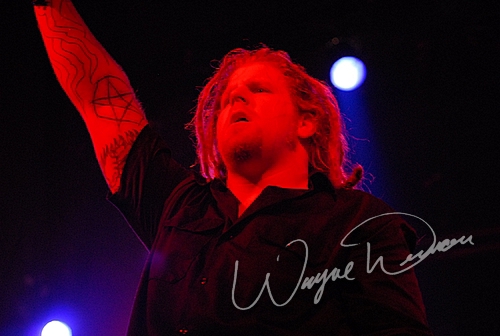 Gizmachi by Wayne Dennon