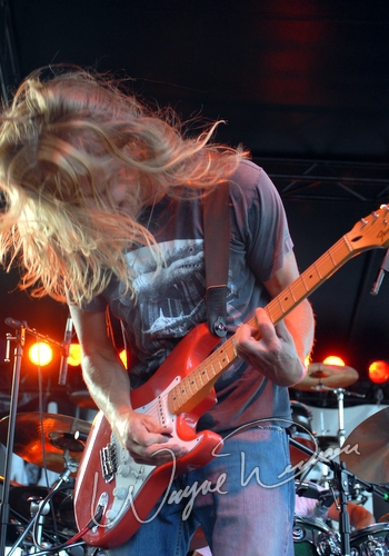 Mercy Fall by Wayne Dennon