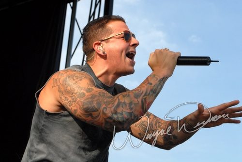 Avenged Sevenfold by Wayne Dennon