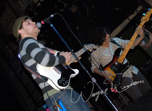 Action Reaction by Wayne Dennon