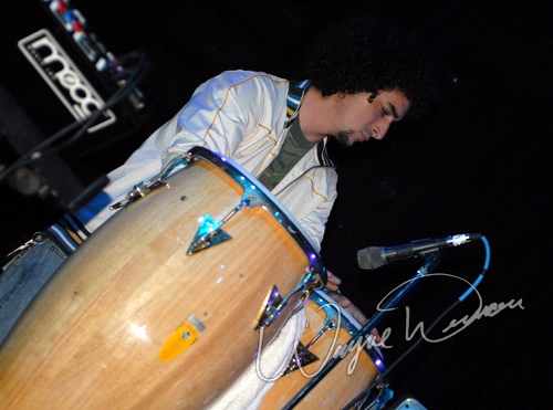 Action Reaction by Wayne Dennon