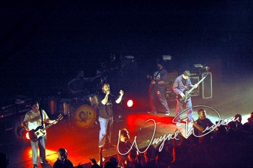 Clutch by Wayne Dennon