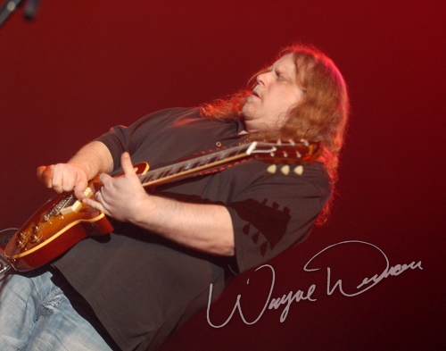 Cactus by Wayne Dennon