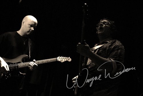 Bx3 live concert photo by Wayne Dennon