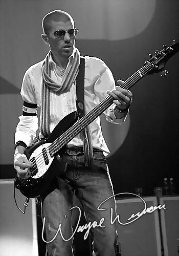 Collective Soul by Wayne Dennon