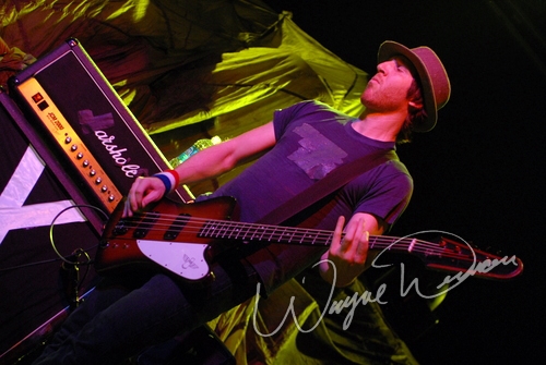 Alex Winston by Wayne Dennon