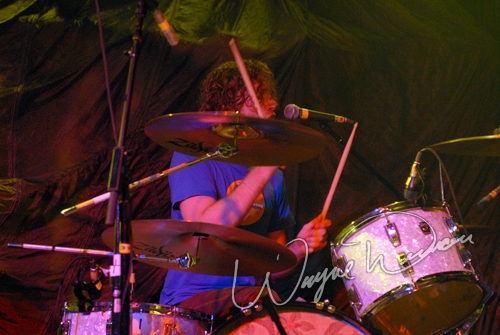 Alex Winston by Wayne Dennon