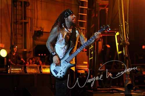 Korn by Wayne Dennon