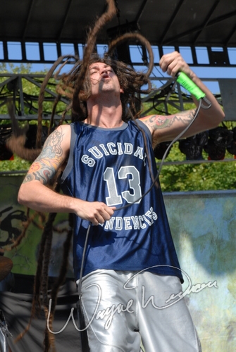 Shadows Fall by Wayne Dennon