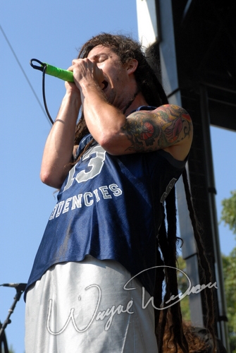 Shadows Fall by Wayne Dennon